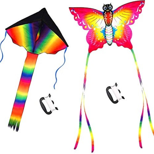 SINGARE Large Rainbow Delta and Butterfly Kites 2 Pack Easy Flyer ...