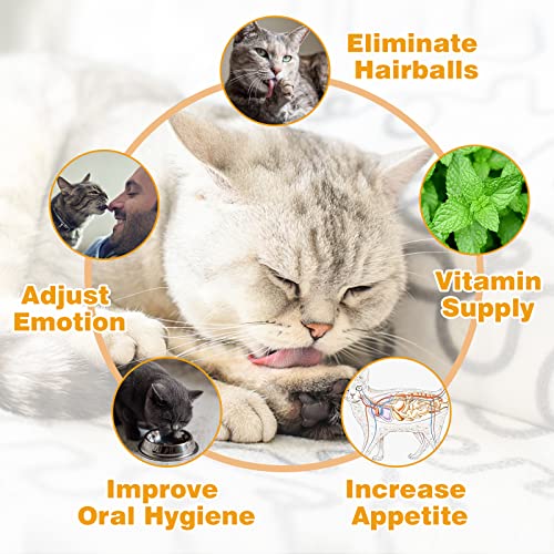 SINROBO Catnip Ball for Cats Wall, 4 Pack Catnip Toys, Silvervine ...