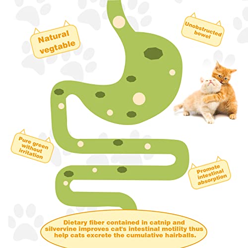 SINROBO Catnip Ball for Cats Wall, 4 Pack Catnip Toys, Silvervine ...