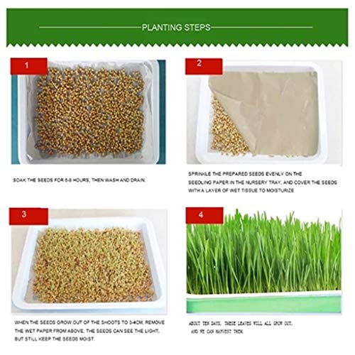 Sinzelimin Hydroponic Home Gardening System Seedling Tray Soilless...