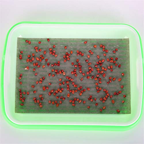 Sinzelimin Hydroponic Home Gardening System Seedling Tray Soilless...