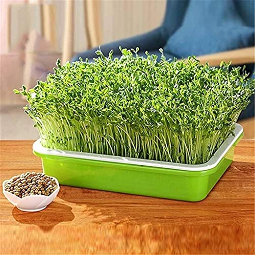 Sinzelimin Hydroponic Home Gardening System Seedling Tray Soilless...