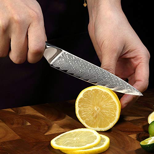 SIXILANG Damascus Kitchen Knife Set 3 Piece, 67 Layer Handmade Jap...