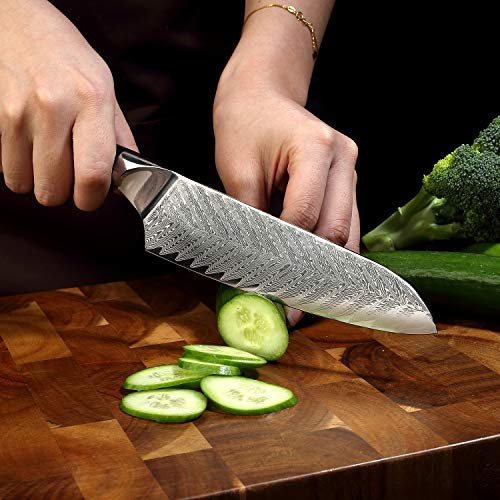 SIXILANG Damascus Kitchen Knife Set 3 Piece, 67 Layer Handmade Jap...