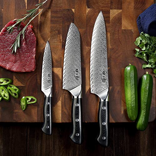 SIXILANG Damascus Kitchen Knife Set 3 Piece, 67 Layer Handmade Jap...