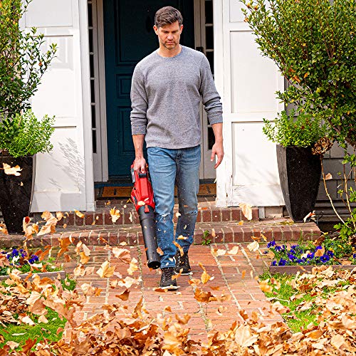 SKIL BL4713-10 PWRCore 40 Brushless 40V Leaf Blower Kit Includes 2...