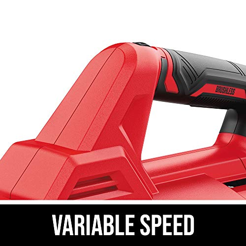 SKIL BL4714B-10 PWR CORE 20 Brushless 400 CFM Leaf Blower Kit, Inc...