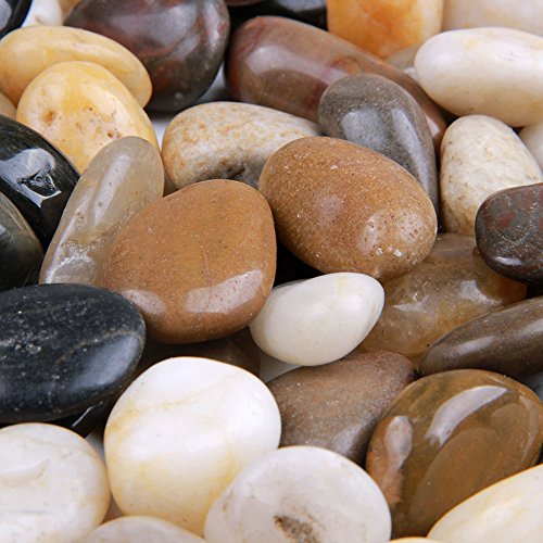 skullis 5 Pounds River Rocks, Pebbles, Garden Outdoor Decorative S...