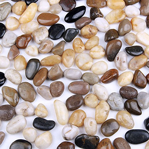 skullis 5 Pounds River Rocks, Pebbles, Garden Outdoor Decorative S...