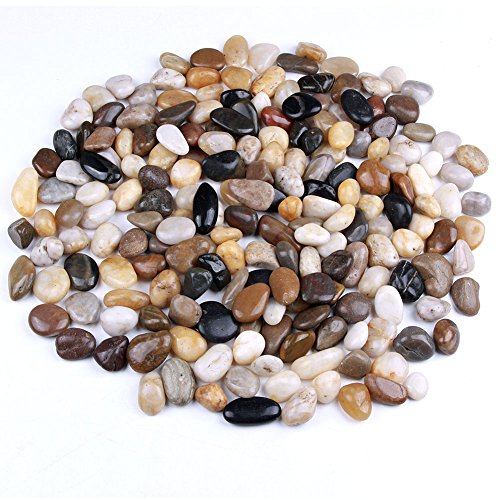 skullis 5 Pounds River Rocks, Pebbles, Garden Outdoor Decorative S...