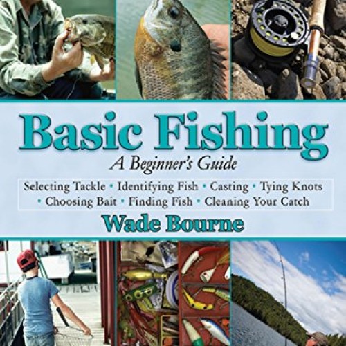 Basic Fishing: A Beginners Guide