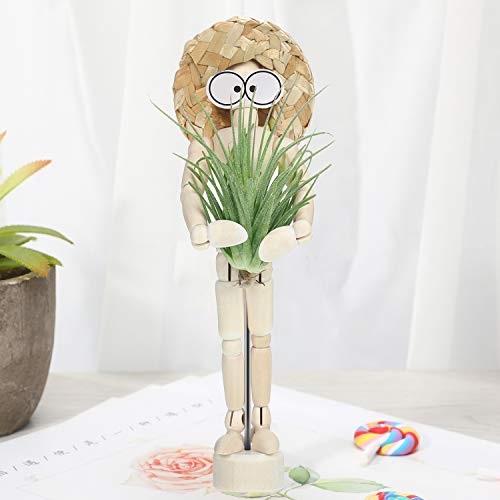 6 Sets Air Plant Holder Wooden Jointed Mannequin Tabletop Flexible...