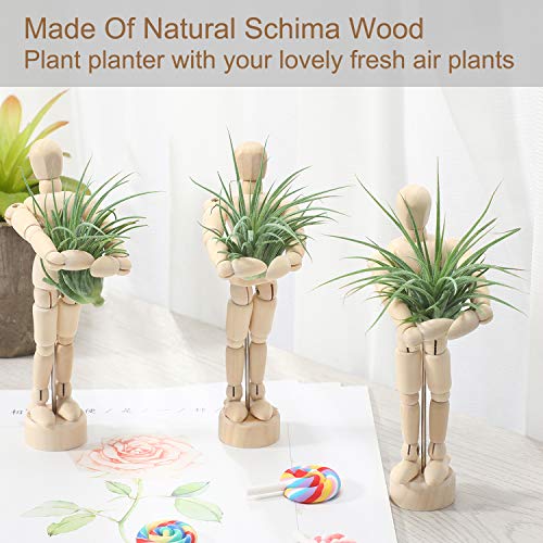 6 Sets Air Plant Holder Wooden Jointed Mannequin Tabletop Flexible...