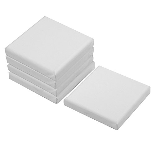 SL crafts Mini Stretched Canvas 4X4 1 Pack of 6 Mini Canvases