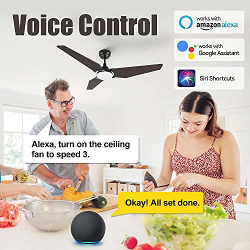 52 Inch Smart Ceiling Fan with Light, 3 Blade Low Profile Ceiling ...