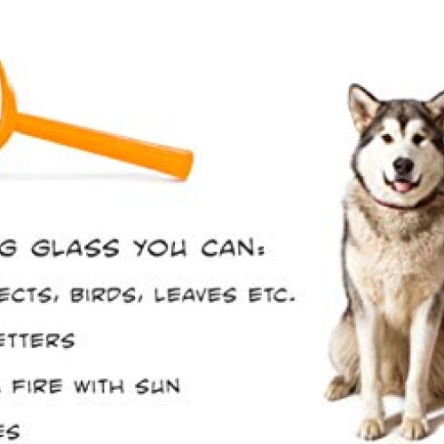 Outdoor Exploration Set - Kids Adventure Pack - Perfect 3-12 year ...