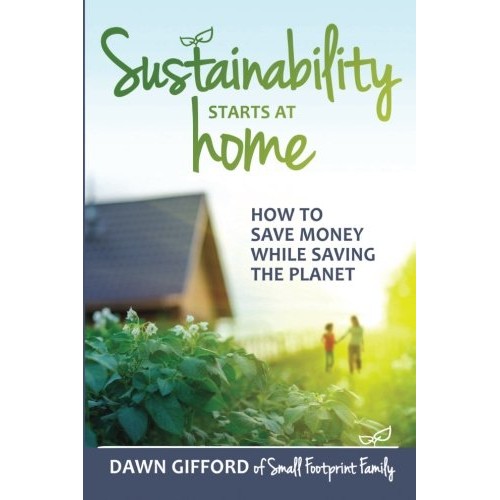 Sustainability Starts at Home: How to Save Money While Saving the ...