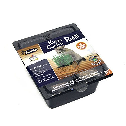 SmartCat Kittys Garden Refill Green, 0.6 oz.