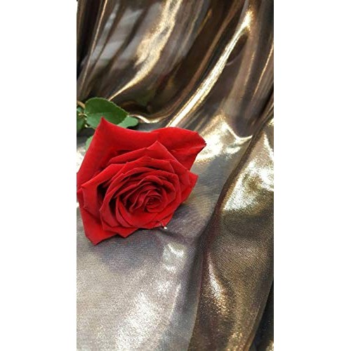 Gold Metalic Chiffon Silk Black Background Soft Flowy Prom Fabric ...