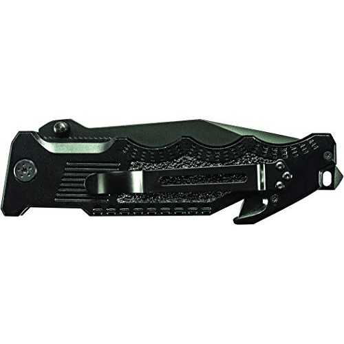 Smith & Wesson Border Guard SWBG2T 10in High Carbon S.S. Folding K...
