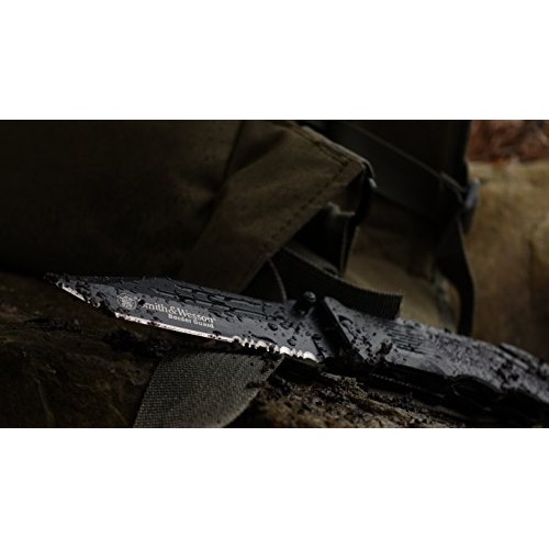 Smith & Wesson Border Guard SWBG2TS 10in High Carbon S.S. Folding ...