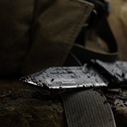 Smith & Wesson Border Guard SWBG2TS 10in High Carbon S.S. Folding ...