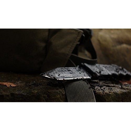 Smith & Wesson Border Guard SWBG2TS 10in High Carbon S.S. Folding ...