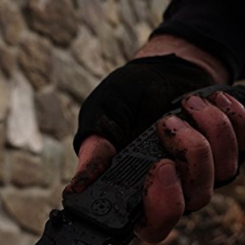 Smith & Wesson Border Guard SWBG2TS 10in High Carbon S.S. Folding ...