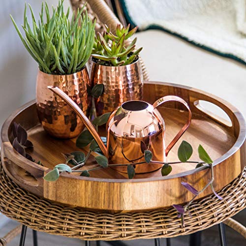 Smouldr Mini Plant Watering Can Indoor: Rose Gold Small Watering C...