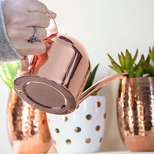 Smouldr Mini Plant Watering Can Indoor: Rose Gold Small Watering C...