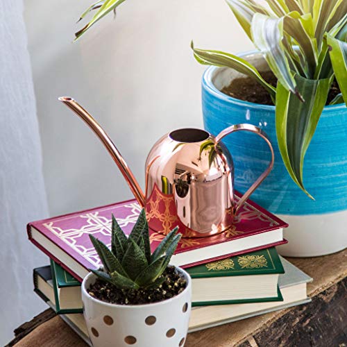 Smouldr Mini Plant Watering Can Indoor: Rose Gold Small Watering C...