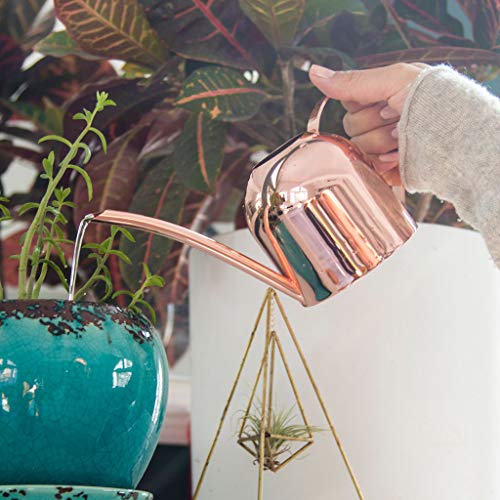 Smouldr Mini Plant Watering Can Indoor: Rose Gold Small Watering C...