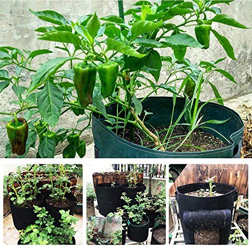 SNAFUL 3Pack Potato Planting Bag,Vecro Window Vegetable Grow Bag f...