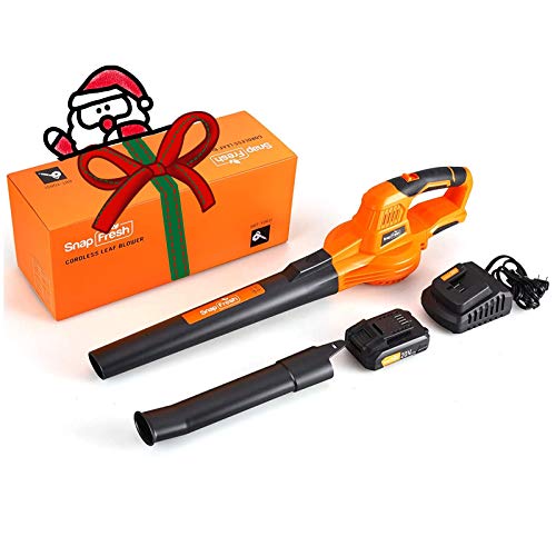 Leaf Blower - 20V Cordless Leaf Blower with Battery & Charger, Ele...