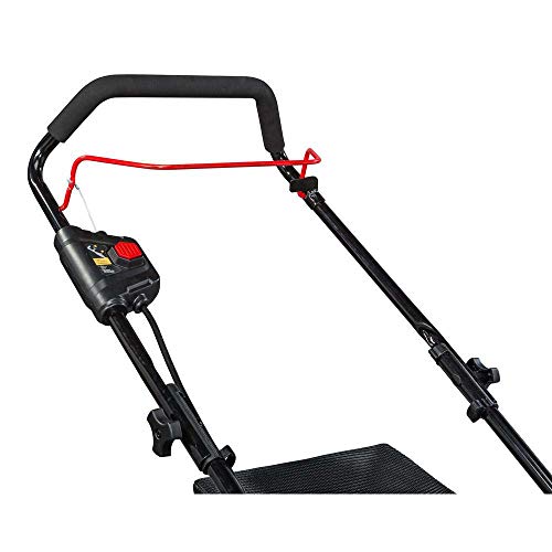 Snapper XD 82V MAX Cordless Electric 19 Push Lawn Mower, Includes...