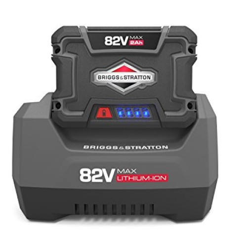 Snapper XD 82V MAX Cordless Electric Clean Up Bundle with String T...