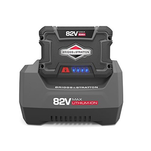 Snapper XD 82V MAX Cordless Electric Clean Up Bundle with String T...