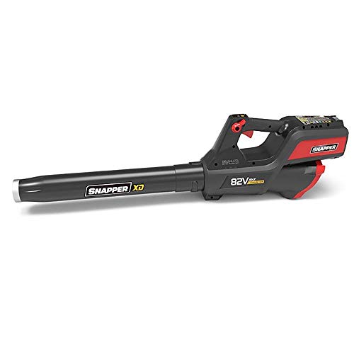 Snapper XD 82V MAX Cordless Electric Clean Up Bundle with String T...