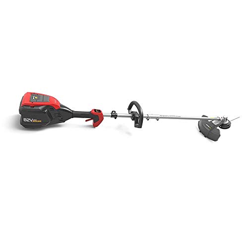 Snapper XD 82V MAX Cordless Electric Clean Up Bundle with String T...