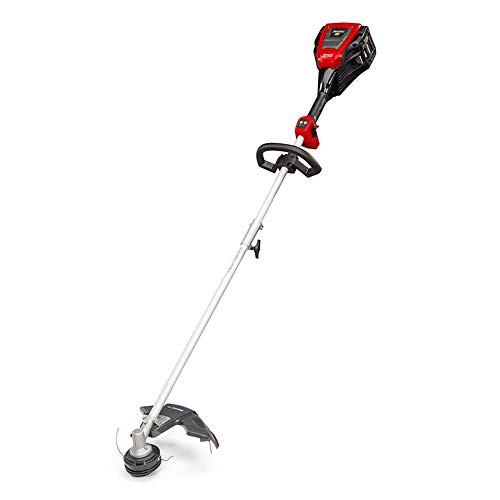 Snapper XD 82V MAX Cordless Electric Clean Up Bundle with String T...