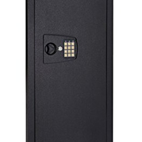 SnapSafe in Wall, Long Shot Safe - Hidden Home Security Cab...