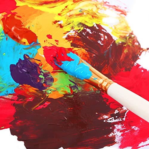 Acrylic Paint Set for Painting, 24 Vibrant Acrylic Colors 20ml for...