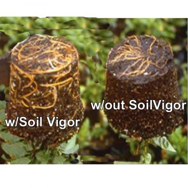 2 Pound soil moist ureTrap Polymers Soil Vigor Tm