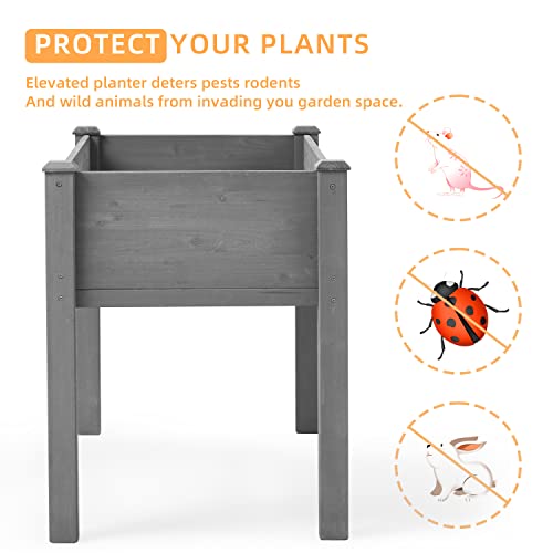 Raised Garden Bed with Legs, 48x24x30, Outdoor Wood Elevated Pla...