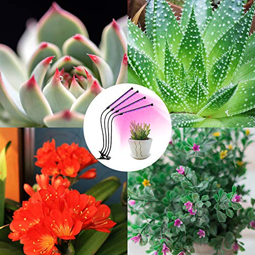 Grow Light, SONATA Four Head Timing Plant Grow Lights for Indoor P...