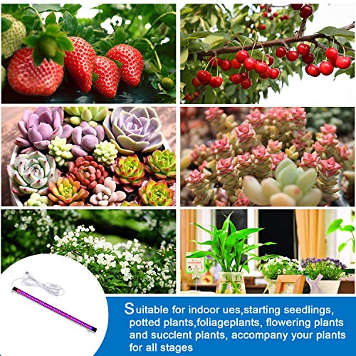Sondiko LED Grow Light Strip, Full Spectrum Auto On&Off Every Day ...