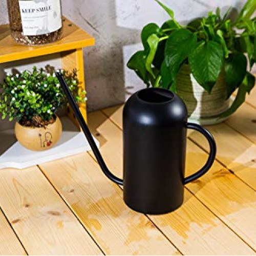 Songhg Long Spout Watering Can Metal 40oz/1.3L,Stainless Steel Wat...