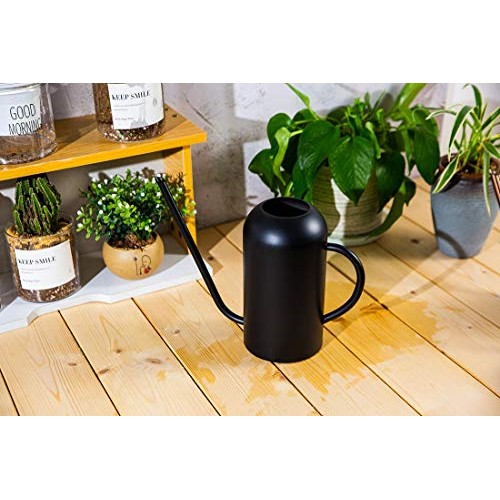 Songhg Long Spout Watering Can Metal 40oz/1.3L,Stainless Steel Wat...