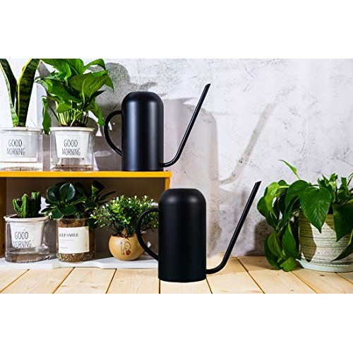 Songhg Long Spout Watering Can Metal 40oz/1.3L,Stainless Steel Wat...