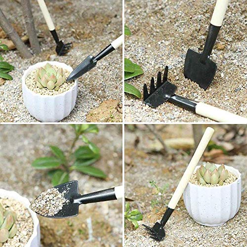 SONGZIMING 15 Pcs Succulent Plant Tools Set, Mini Garden Planting ...